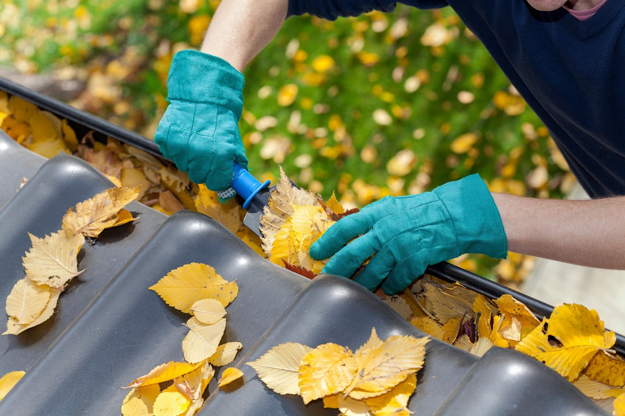 fm=f_10702 A person wearing gloves and cleaning leaves from the gutter.